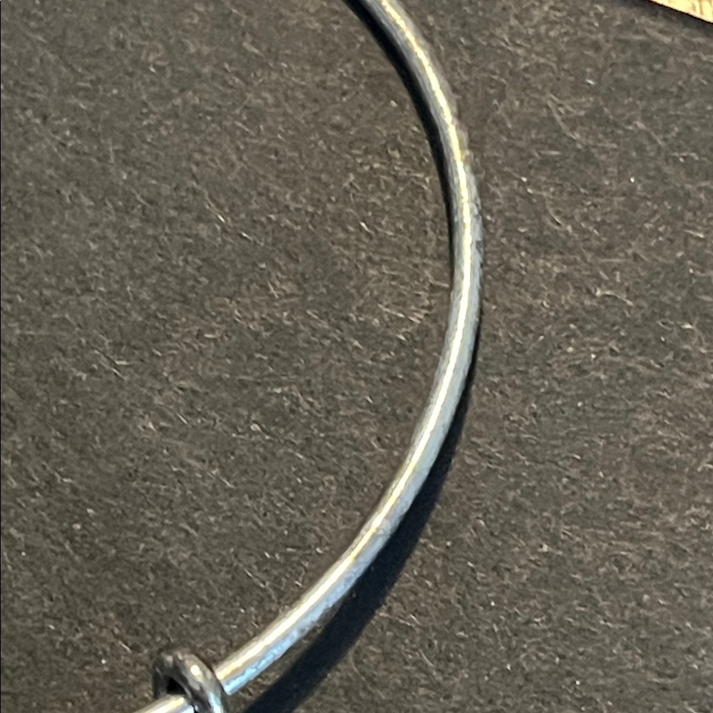 Alex and Ani Silver Queen Bee Charm Bracelet - Picture 9 of 13